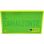 IL CAMALEONTE 7643 2 camaleonte