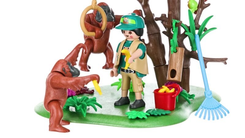 70345 ORANGHI SUGLI ALBERI - immagine 4