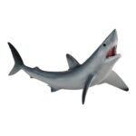 SQUALO MAKO (M) 1 shortfin mako shark