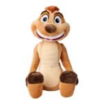 TIMON