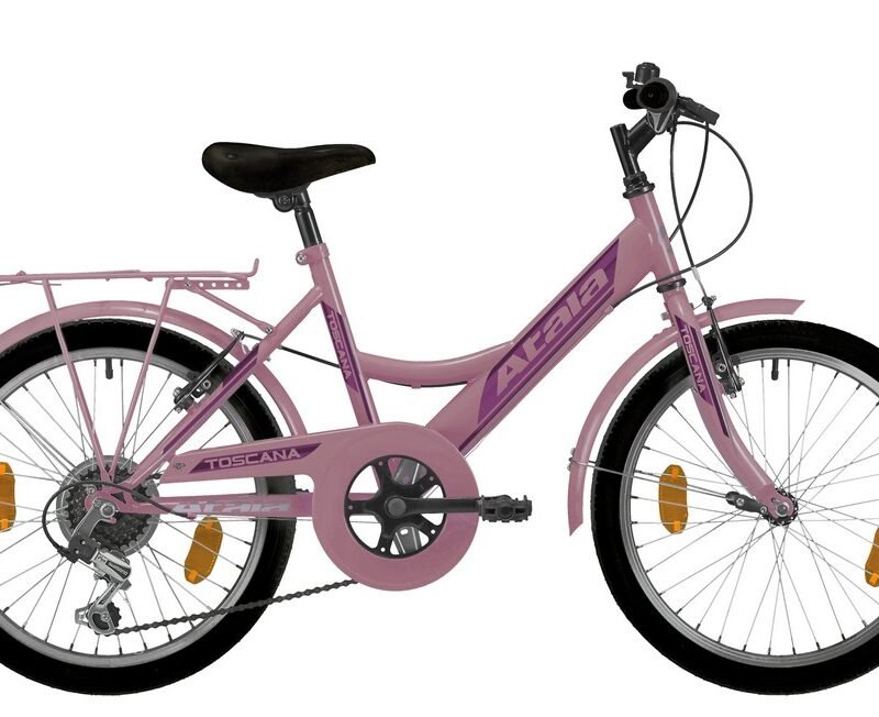 BICI TOSCANA 20" 6V ROSA SCURO